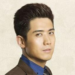 b型血男明星,揭秘B型血魅力男星的独特魅力