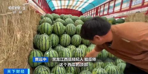 火哥新发地吃瓜,揭秘市场风云背后的真实故事