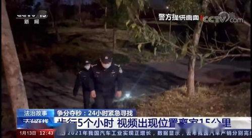 聚焦 在线观看,揭秘热门在线观看现象背后的故事