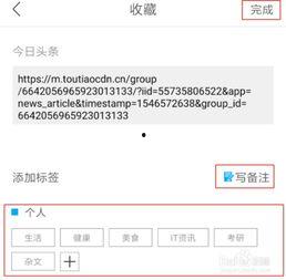 怎样看头条里保存的文章,如何高效管理你的阅读收藏