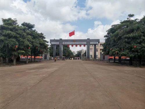 东阳县下桥镇新闻头条,聚焦发展新动态，共话乡村振兴新篇章