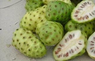 露羽吃瓜,揭秘娱乐圈幕后故事