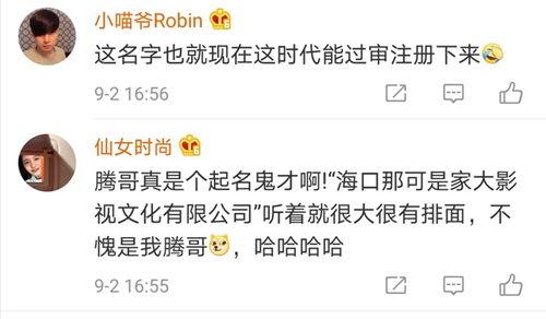 明星给公司起名字,公司命名新篇章