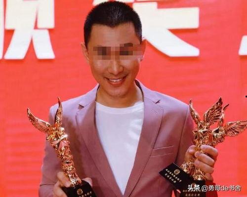 明星沈某辉,星光璀璨的演艺之路