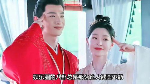 吃瓜爆料宋轶视频在线观看,吃瓜爆料背后的精彩瞬间