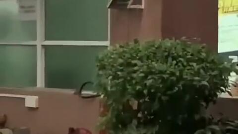 江苏最新吃瓜新闻,网红餐厅风波再起，食客体验大揭秘！