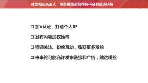 头条最多能关注多少粉丝