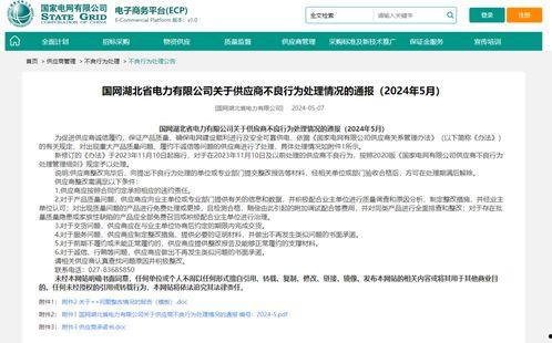 国网湖北张彩红去向,新篇章启航,助力能源发展新征程