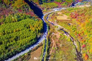 枫叶大道洋湖沟村网红