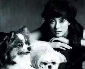 明星被自家宠物支配,明星家的“小皇帝”如何掌控全局？