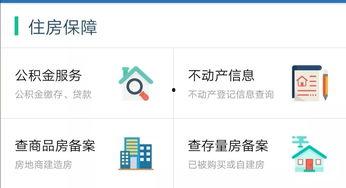 三明网红司机招聘,开启驾驶界新潮流