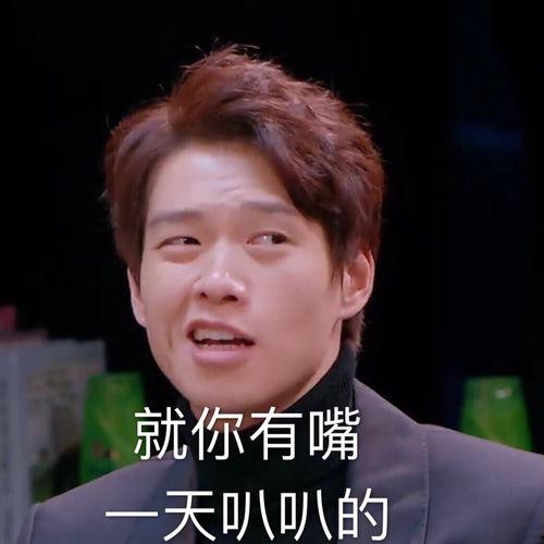 明星潮流表情包,明星表情包引领社交新风尚