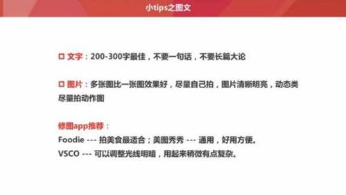 头条评论关注的人,关注者的智慧与情感