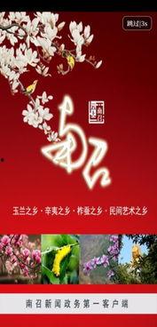 南召头条528事件,揭秘背后真相与影响”