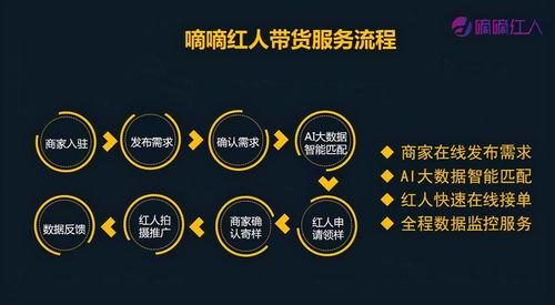 网红套路深度分析图,深度解析网络红人的吸粉秘诀与营销策略