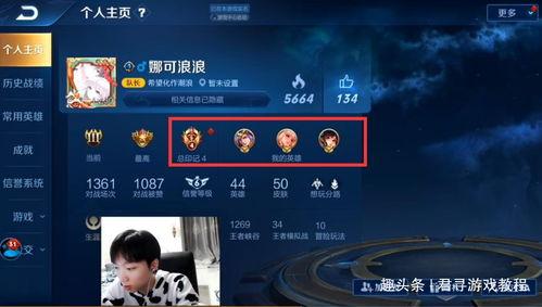 无土影继承人爆料视频,揭秘神秘家族传承之谜