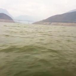 汉源网红杨,从田间地头到网络红人的蜕变之路