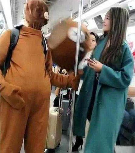 头套熊跳舞女网红,网红女舞者引领潮流