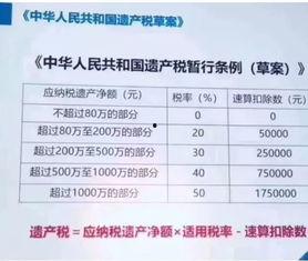 怎么查明星的纳税,查询与解读明星税务信息指南