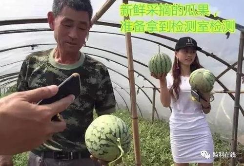 吃瓜直播东北,趣味横生的乡村生活秀