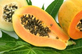 有胃病可以吃瓜嘛