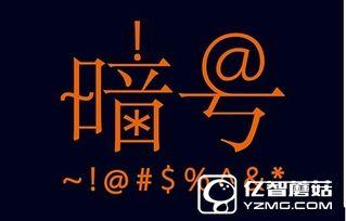 头条暗号,解锁信息时代的密码之门